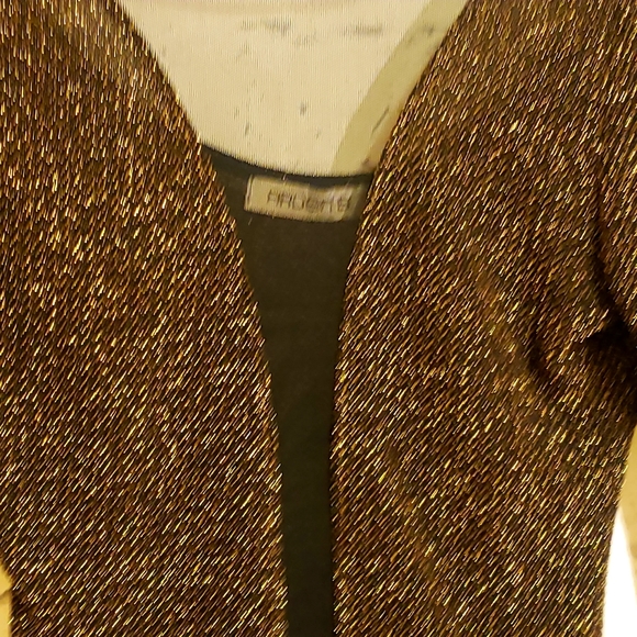 Arden B Black and Metallic Gold/Bronze Bodysuit See Through Fabric Detail - Picture 2 of 3